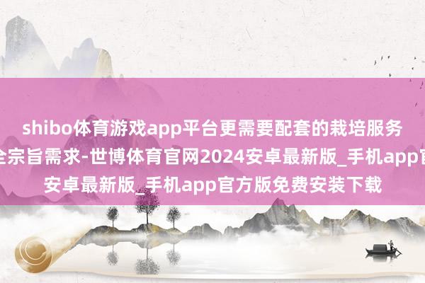 shibo体育游戏app平台更需要配套的栽培服务来缓和孩子成长的全宗旨需求-世博体育官网2024安卓最新版_手机app官方版免费安装下载