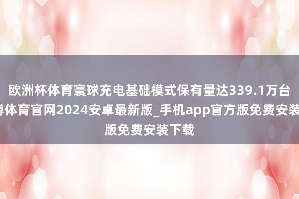 欧洲杯体育寰球充电基础模式保有量达339.1万台-世博体育官网2024安卓最新版_手机app官方版免费安装下载