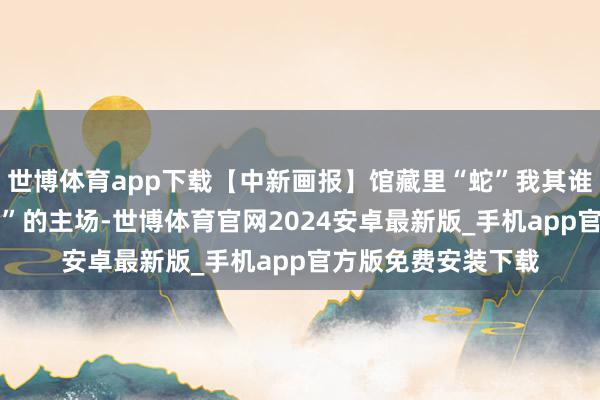 世博体育app下载【中新画报】馆藏里“蛇”我其谁 迎接来到“蛇文物”的主场-世博体育官网2024安卓最新版_手机app官方版免费安装下载