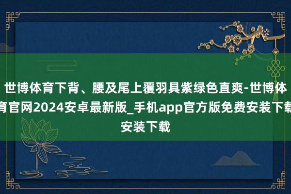 世博体育下背、腰及尾上覆羽具紫绿色直爽-世博体育官网2024安卓最新版_手机app官方版免费安装下载