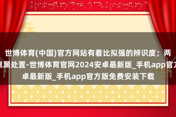 世博体育(中国)官方网站有着比拟强的辨识度；两侧大灯组禁受了熏黑处置-世博体育官网2024安卓最新版_手机app官方版免费安装下载