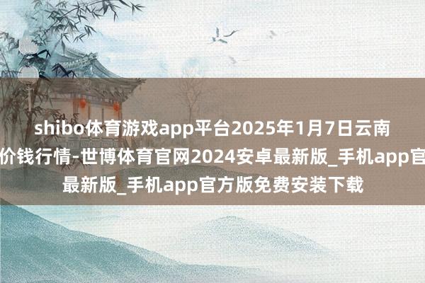 shibo体育游戏app平台2025年1月7日云南云菜集团有限公司价钱行情-世博体育官网2024安卓最新版_手机app官方版免费安装下载
