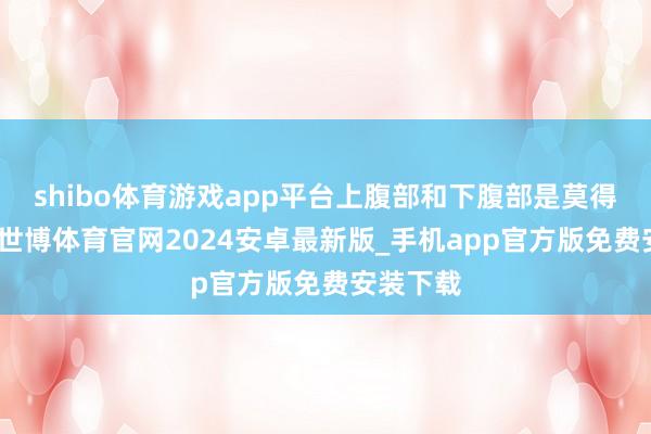 shibo体育游戏app平台上腹部和下腹部是莫得区别的-世博体育官网2024安卓最新版_手机app官方版免费安装下载