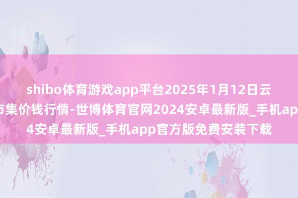 shibo体育游戏app平台2025年1月12日云南通海金山蔬菜批发市集价钱行情-世博体育官网2024安卓最新版_手机app官方版免费安装下载