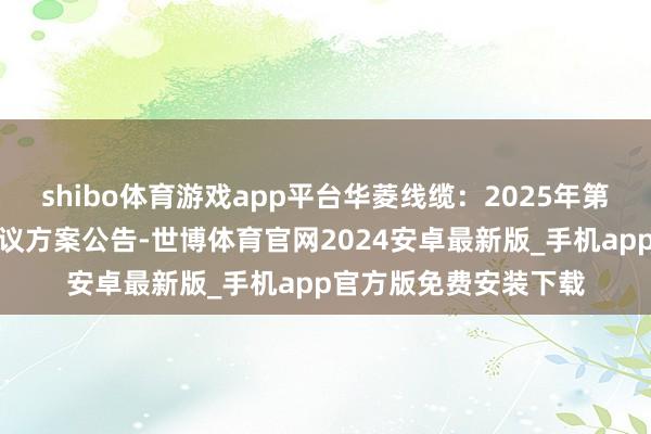 shibo体育游戏app平台华菱线缆：2025年第一次临时鼓舞大会会议方案公告-世博体育官网2024安卓最新版_手机app官方版免费安装下载