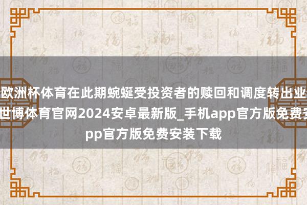 欧洲杯体育在此期蜿蜒受投资者的赎回和调度转出业务苦求-世博体育官网2024安卓最新版_手机app官方版免费安装下载