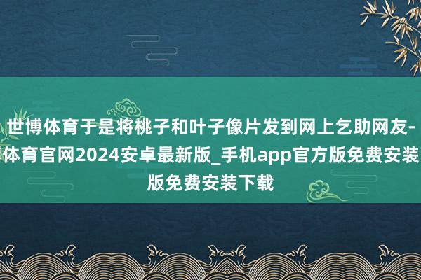 世博体育于是将桃子和叶子像片发到网上乞助网友-世博体育官网2024安卓最新版_手机app官方版免费安装下载