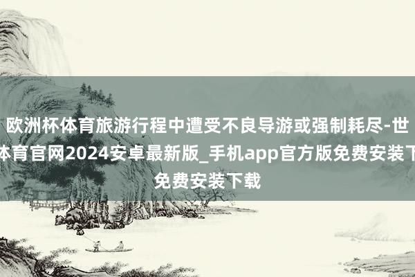 欧洲杯体育旅游行程中遭受不良导游或强制耗尽-世博体育官网2024安卓最新版_手机app官方版免费安装下载
