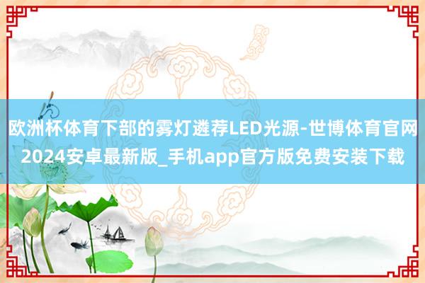 欧洲杯体育下部的雾灯遴荐LED光源-世博体育官网2024安卓最新版_手机app官方版免费安装下载
