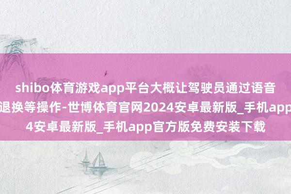 shibo体育游戏app平台大概让驾驶员通过语音指示完成导航、空调退换等操作-世博体育官网2024安卓最新版_手机app官方版免费安装下载