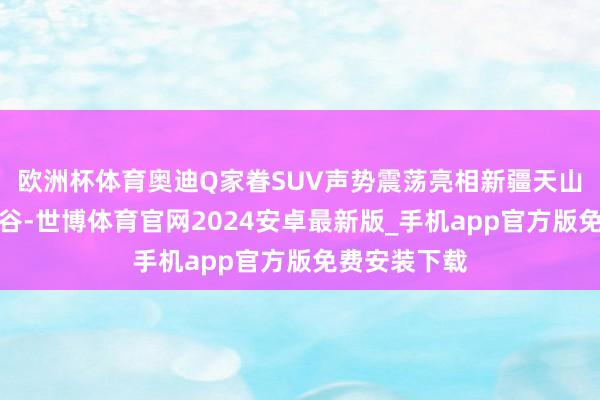 欧洲杯体育奥迪Q家眷SUV声势震荡亮相新疆天山托木尔大峡谷-世博体育官网2024安卓最新版_手机app官方版免费安装下载