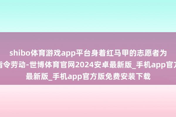 shibo体育游戏app平台身着红马甲的志愿者为搭客提供盘考、指令劳动-世博体育官网2024安卓最新版_手机app官方版免费安装下载