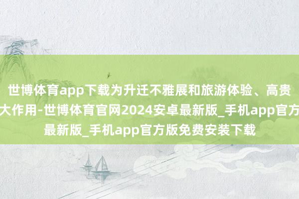 世博体育app下载为升迁不雅展和旅游体验、高贵文旅商场阐扬更大作用-世博体育官网2024安卓最新版_手机app官方版免费安装下载