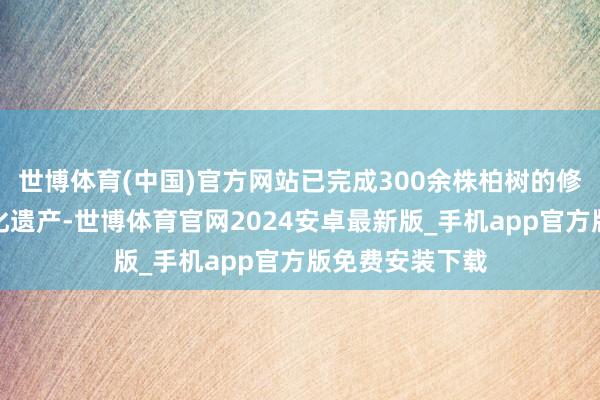 世博体育(中国)官方网站已完成300余株柏树的修剪动作宇宙文化遗产-世博体育官网2024安卓最新版_手机app官方版免费安装下载