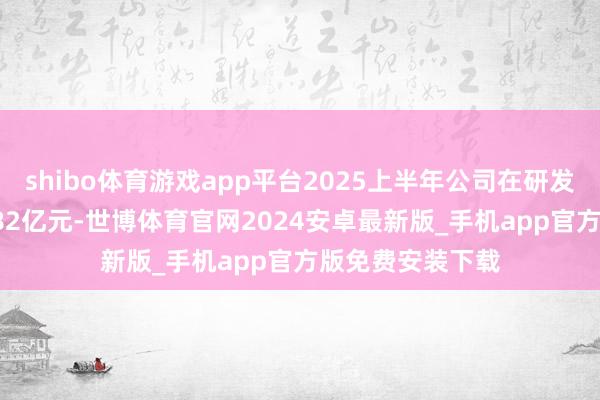 shibo体育游戏app平台2025上半年公司在研发方面干预了47.82亿元-世博体育官网2024安卓最新版_手机app官方版免费安装下载