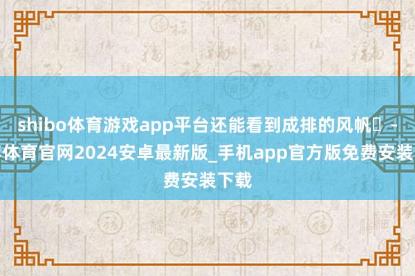 shibo体育游戏app平台还能看到成排的风帆⛵-世博体育官网2024安卓最新版_手机app官方版免费安装下载