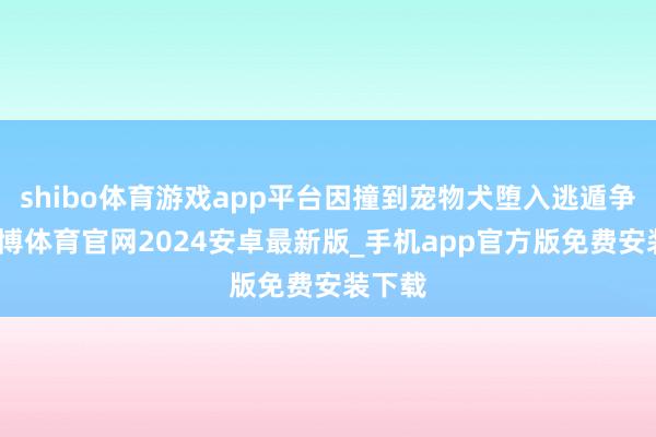shibo体育游戏app平台因撞到宠物犬堕入逃遁争议-世博体育官网2024安卓最新版_手机app官方版免费安装下载