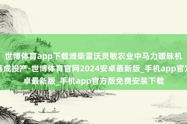 世博体育app下载潍柴雷沃灵敏农业中马力暧昧机数智化产线矜重落成投产-世博体育官网2024安卓最新版_手机app官方版免费安装下载