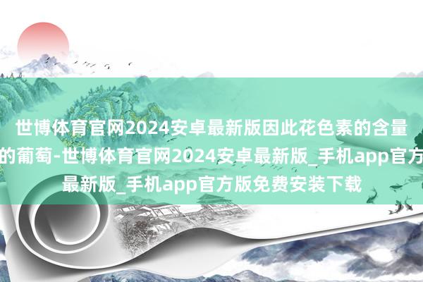世博体育官网2024安卓最新版因此花色素的含量远胜于雷同质地的葡萄-世博体育官网2024安卓最新版_手机app官方版免费安装下载