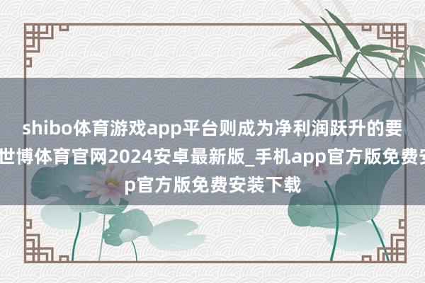 shibo体育游戏app平台则成为净利润跃升的要道推手-世博体育官网2024安卓最新版_手机app官方版免费安装下载