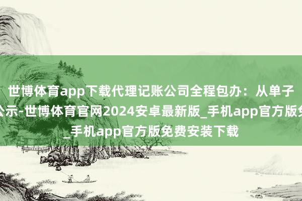 世博体育app下载代理记账公司全程包办：从单子汇集到年报公示-世博体育官网2024安卓最新版_手机app官方版免费安装下载