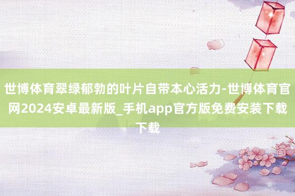 世博体育翠绿郁勃的叶片自带本心活力-世博体育官网2024安卓最新版_手机app官方版免费安装下载