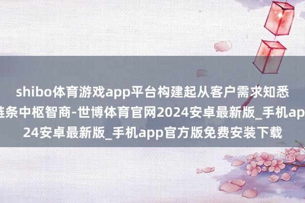shibo体育游戏app平台构建起从客户需求知悉到最终价值托福的全链条中枢智商-世博体育官网2024安卓最新版_手机app官方版免费安装下载